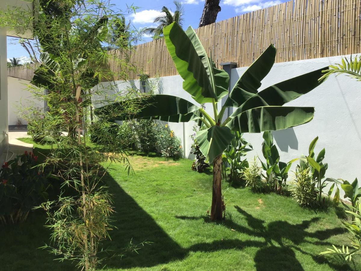Bamboobeachvilla1 Ac New Oceanfront Pool Sunsetview Garden Kitchen Satellite Starlink Wi-Fi Dimiao Eksteriør billede
