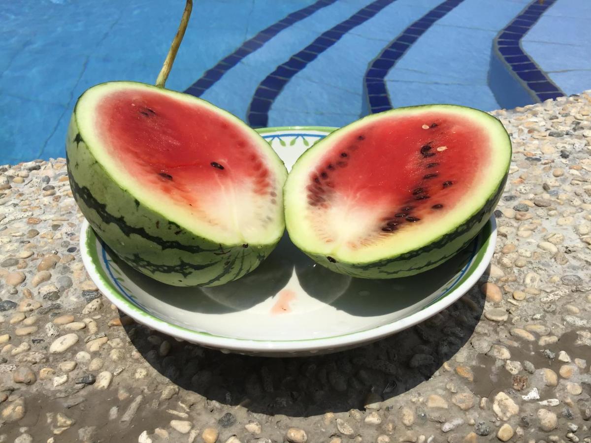 Bamboobeachvilla1 Ac New Oceanfront Pool Sunsetview Garden Kitchen Satellite Starlink Wi-Fi Dimiao Eksteriør billede