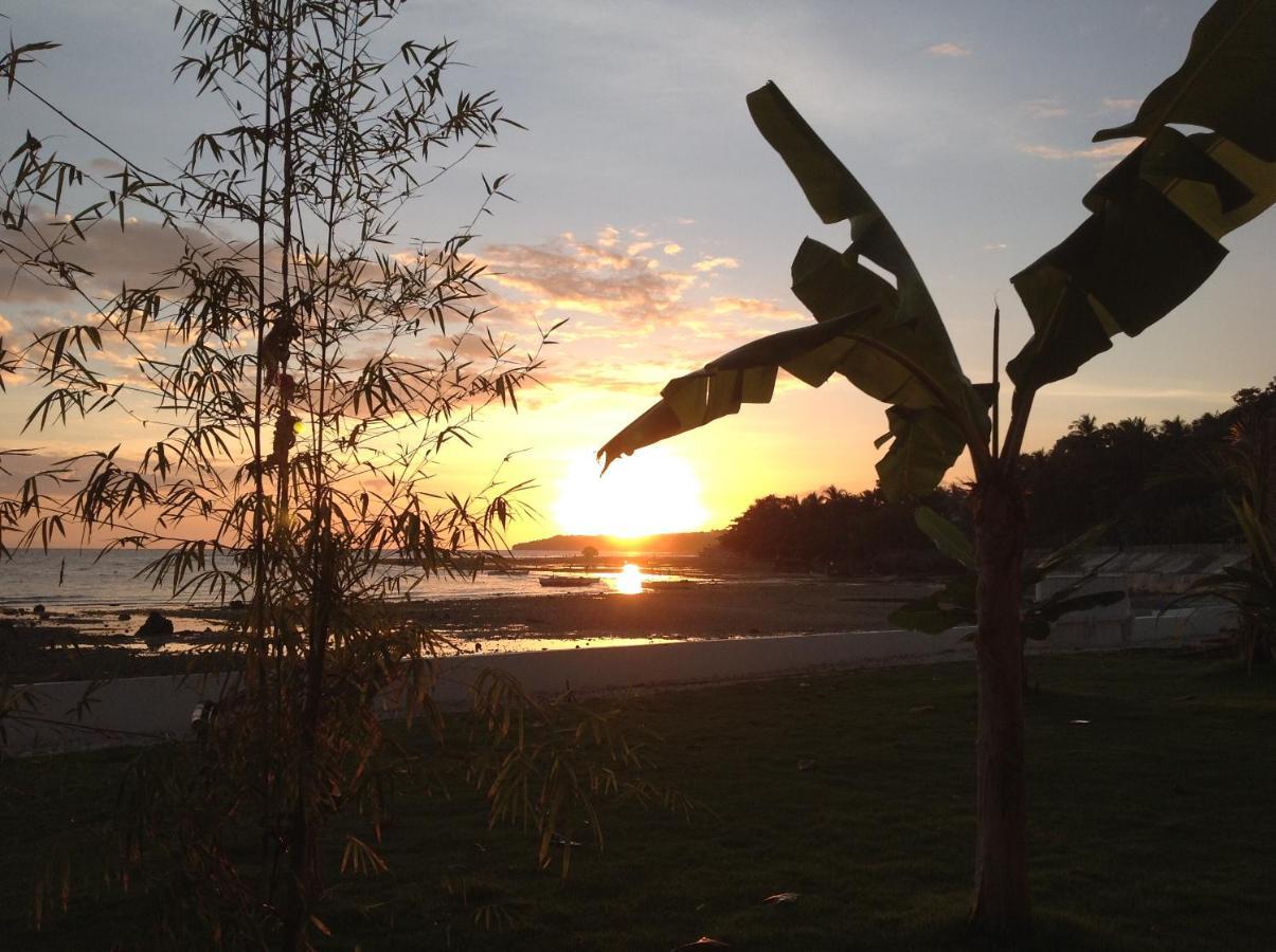 Bamboobeachvilla1 Ac New Oceanfront Pool Sunsetview Garden Kitchen Satellite Starlink Wi-Fi Dimiao Eksteriør billede
