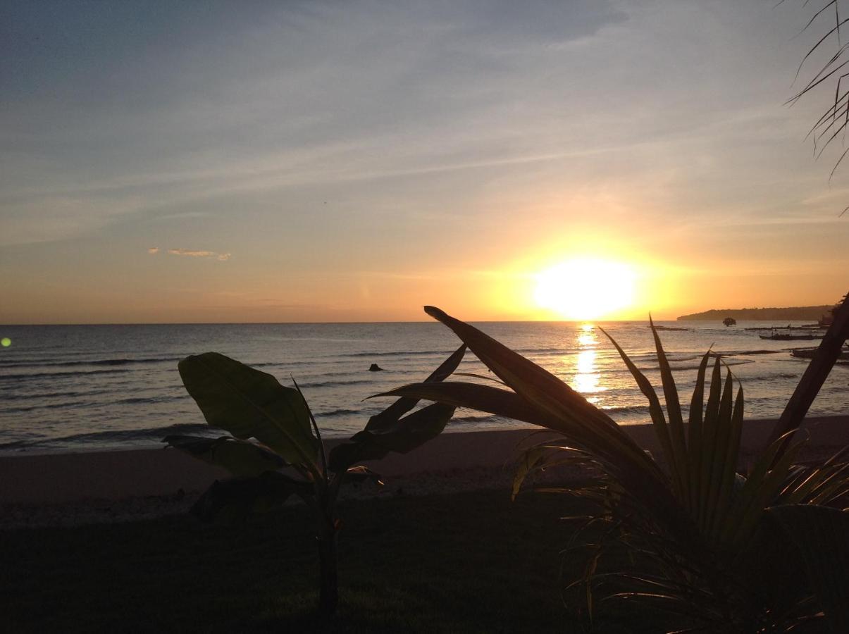 Bamboobeachvilla1 Ac New Oceanfront Pool Sunsetview Garden Kitchen Satellite Starlink Wi-Fi Dimiao Eksteriør billede
