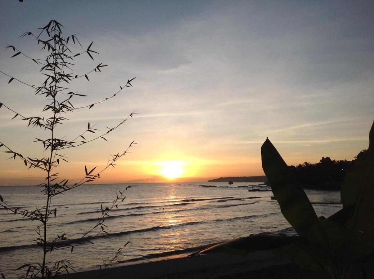 Bamboobeachvilla1 Ac New Oceanfront Pool Sunsetview Garden Kitchen Satellite Starlink Wi-Fi Dimiao Eksteriør billede